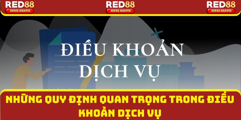 Những quy định quan trọng trong điều khoản dịch vụ người chơi cần nắm rõ tại nhà cái